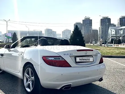 Mercedes-Benz SLK 200 2012 года за 16 000 000 тг. в Алматы – фото 2
