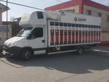 IVECO  Daily 2013 годаүшін16 000 000 тг. в Шымкент