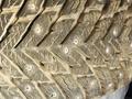 Зимняя шипованная резина нокиан хакапелита 10 за 330 000 тг. в Костанай – фото 2