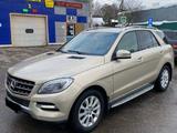 Mercedes-Benz ML 350 2012 годаүшін9 000 000 тг. в Петропавловск