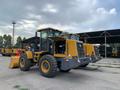 XCMG  LW330KZ export 2026 2026 годаүшін15 100 000 тг. в Алматы – фото 31