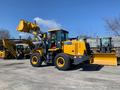 XCMG  LW330KZ export 2026 2026 годаүшін15 100 000 тг. в Алматы – фото 41