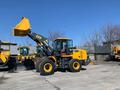 XCMG  LW330KZ export 2026 2026 годаүшін15 100 000 тг. в Алматы – фото 42