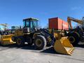 XCMG  LW330KZ export 2026 2026 годаүшін15 100 000 тг. в Алматы – фото 43