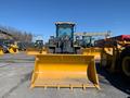 XCMG  LW330KZ export 2026 2026 годаүшін15 100 000 тг. в Алматы – фото 64