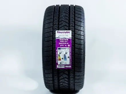 245/40R18 97V XL 265/35R18 97V XL — Tourador WINTER PRO TSU1 за 200 000 тг. в Алматы – фото 7