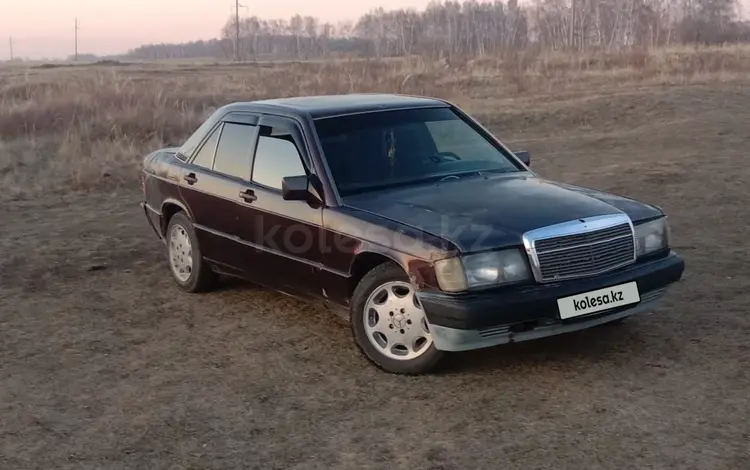 Mercedes-Benz 190 1991 года за 450 000 тг. в Петропавловск