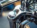 Harley-Davidson  Breakout 2025 года за 23 500 000 тг. в Алматы – фото 25