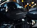 Harley-Davidson  Breakout 2025 года за 23 500 000 тг. в Алматы – фото 31