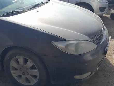 Toyota Camry 2004 года за 5 250 000 тг. в Уральск