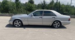 Mercedes-Benz S 500 1997 годаүшін3 700 000 тг. в Жаркент – фото 5