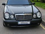 Mercedes-Benz E 55 AMG 1999 годаүшін6 200 000 тг. в Алматы – фото 2