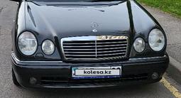 Mercedes-Benz E 55 AMG 1999 годаүшін5 200 000 тг. в Алматы – фото 4