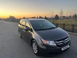 Honda Odyssey 2015 годаfor12 500 000 тг. в Алматы – фото 4