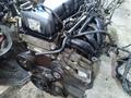 Двигатель Мазда Форд АКПП МКПП Корзина Маховик Фередо Подшипник с Германии за 290 000 тг. в Алматы – фото 13
