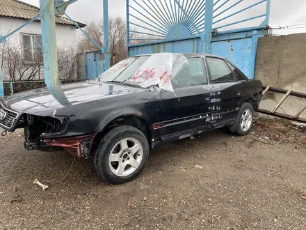 Audi 100 1993 года за 400 000 тг. в Павлодар