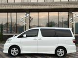 Toyota Alphard 2006 года за 8 500 000 тг. в Шымкент – фото 3