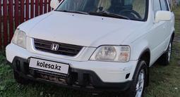 Honda CR-V 2000 года за 3 800 000 тг. в Петропавловск