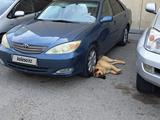 Toyota Camry 2001 года за 4 400 000 тг. в Актау – фото 3