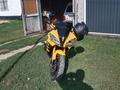 Yamaha  FZR600 2008 года за 3 500 000 тг. в Семей – фото 5
