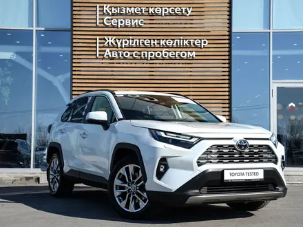 Toyota RAV4 Luxe+ 2025 года за 20 400 000 тг. в Кызылорда – фото 18