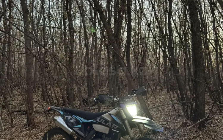 ULAR 2025 года за 550 000 тг. в Астана