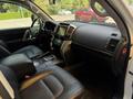 Toyota Land Cruiser 2013 годаүшін22 500 000 тг. в Алматы – фото 20