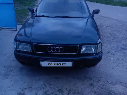 Audi 80 1991 года за 1 100 000 тг. в Тараз – фото 6