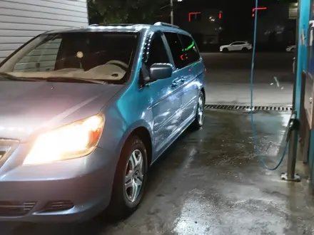 Honda Odyssey 2006 года за 7 000 000 тг. в Алматы – фото 8