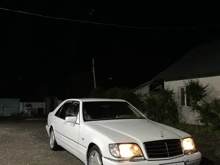 Mercedes-Benz S 320 1997 года за 4 150 000 тг. в Шелек – фото 12