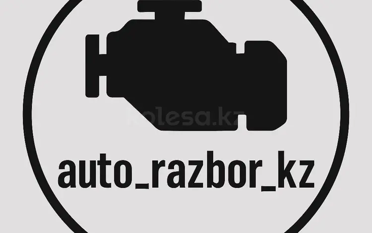 Nurbol king Razbor в Алматы