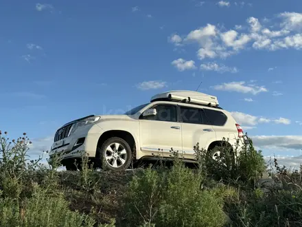Toyota Land Cruiser Prado 2010 года за 13 500 000 тг. в Астана – фото 22