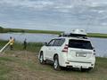 Toyota Land Cruiser Prado 2010 годаүшін13 500 000 тг. в Астана – фото 25