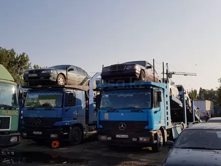Центр перевозок легковых автомобилей! в Алматы – фото 8