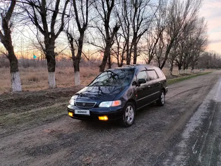 Honda Odyssey 1996 года за 2 800 000 тг. в Тараз – фото 6