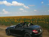 Mercedes-Benz SLK 280 2006 года за 8 000 000 тг. в Астана – фото 2