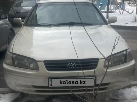 Toyota Camry 2001 года за 3 100 000 тг. в Алматы – фото 2