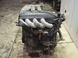 Двигатель AGN на Audi A3 VW golf4 за 350 000 тг. в Шымкент – фото 3