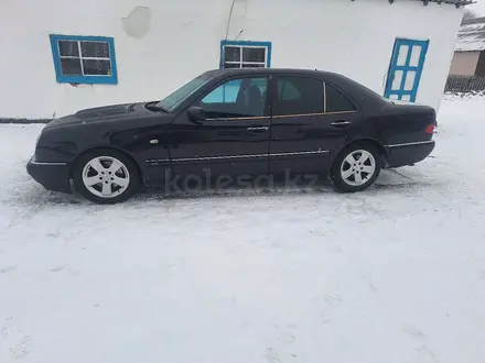 Mercedes-Benz E 280 1996 года за 2 600 000 тг. в Балхаш – фото 16