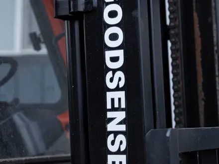 Goodsense  FD30 2025 года за 6 900 000 тг. в Караганда – фото 16