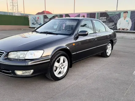 Toyota Camry 2000 года за 5 850 000 тг. в Туркестан – фото 4