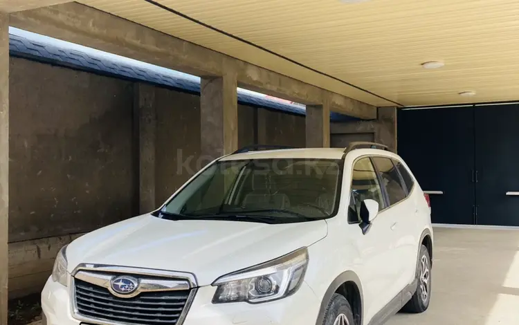 Subaru Forester 2019 года за 14 000 000 тг. в Шымкент