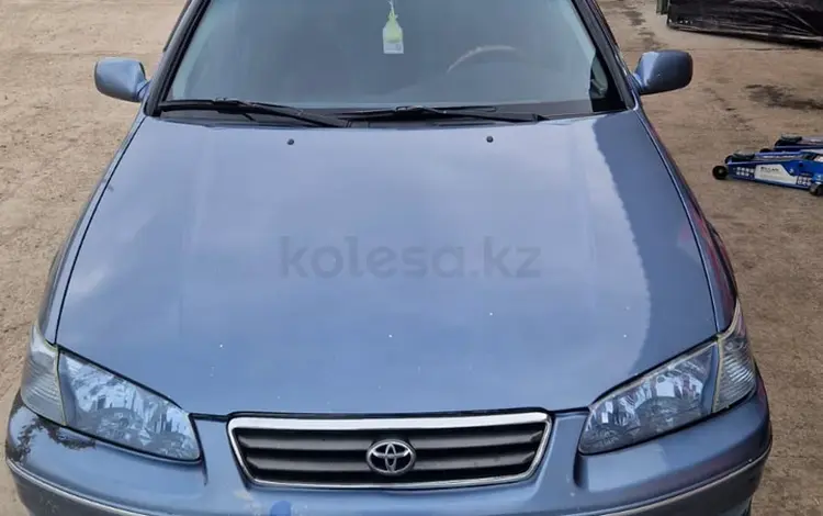 Toyota Camry 1998 года за 3 000 000 тг. в Шымкент