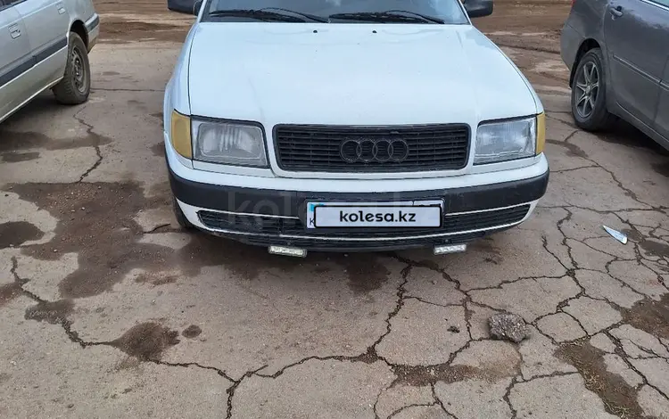 Audi 100 1991 годаүшін1 800 000 тг. в Кокшетау