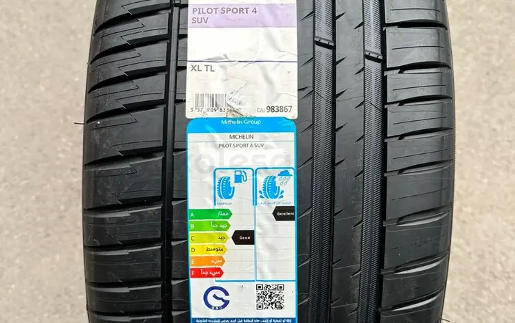 Шины Michelin 285/45/r21 PS4 suv за 275 000 тг. в Алматы