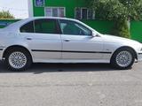 BMW 520 1996 годаүшін1 500 000 тг. в Шымкент – фото 2