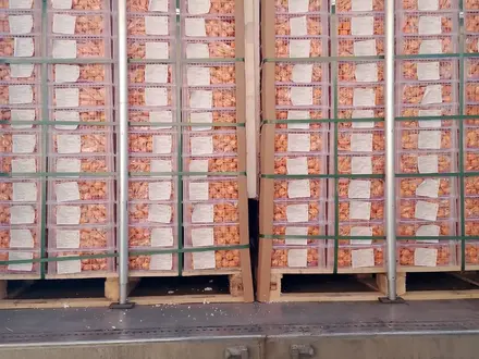 DAF  XF 105 2013 года за 28 000 000 тг. в Караганда – фото 8