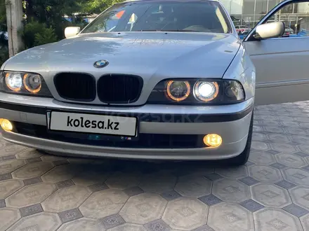 BMW 525 2002 года за 3 350 000 тг. в Шымкент – фото 4