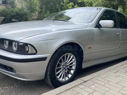 BMW 525 2002 года за 3 350 000 тг. в Шымкент – фото 2