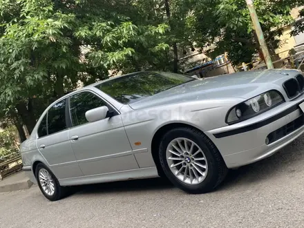 BMW 525 2002 года за 3 350 000 тг. в Шымкент